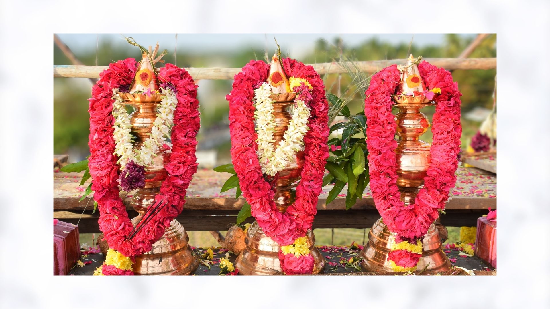Sri-Boomadevi-Erode-kumbabishekam Photos